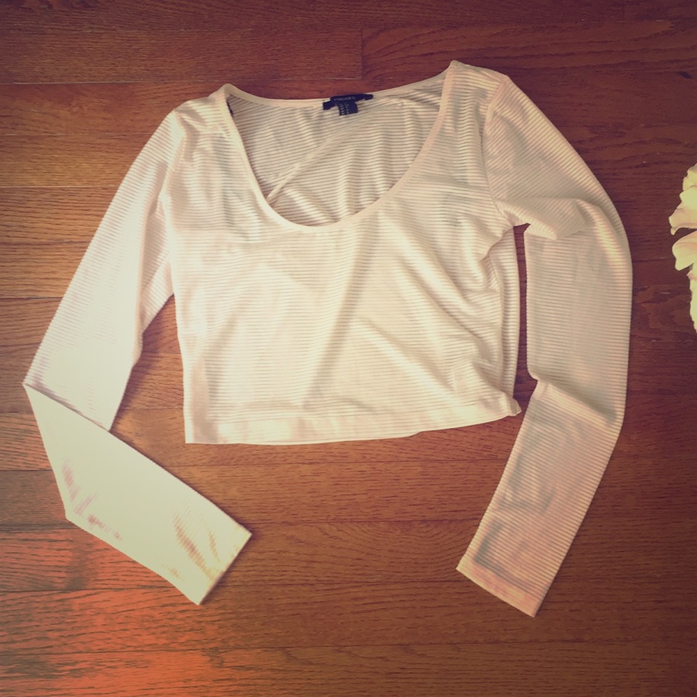 Blush long sleeve crop top